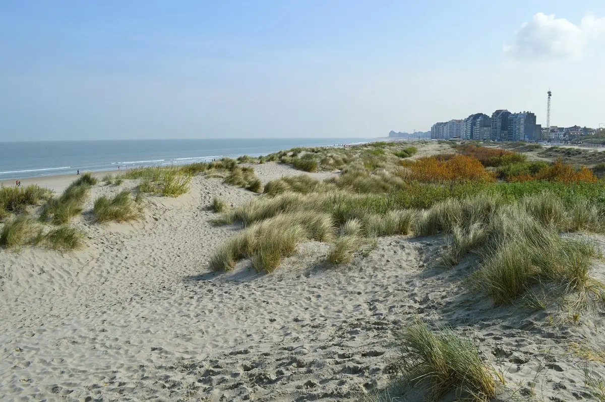 De duinen en het strand van de Belgische kust met appartementen aan de horizon